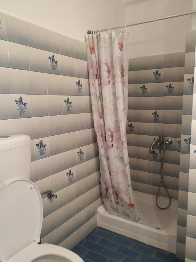 Lions 2 Studios & Apartments, Poros Island. 포로스타운 외부 사진