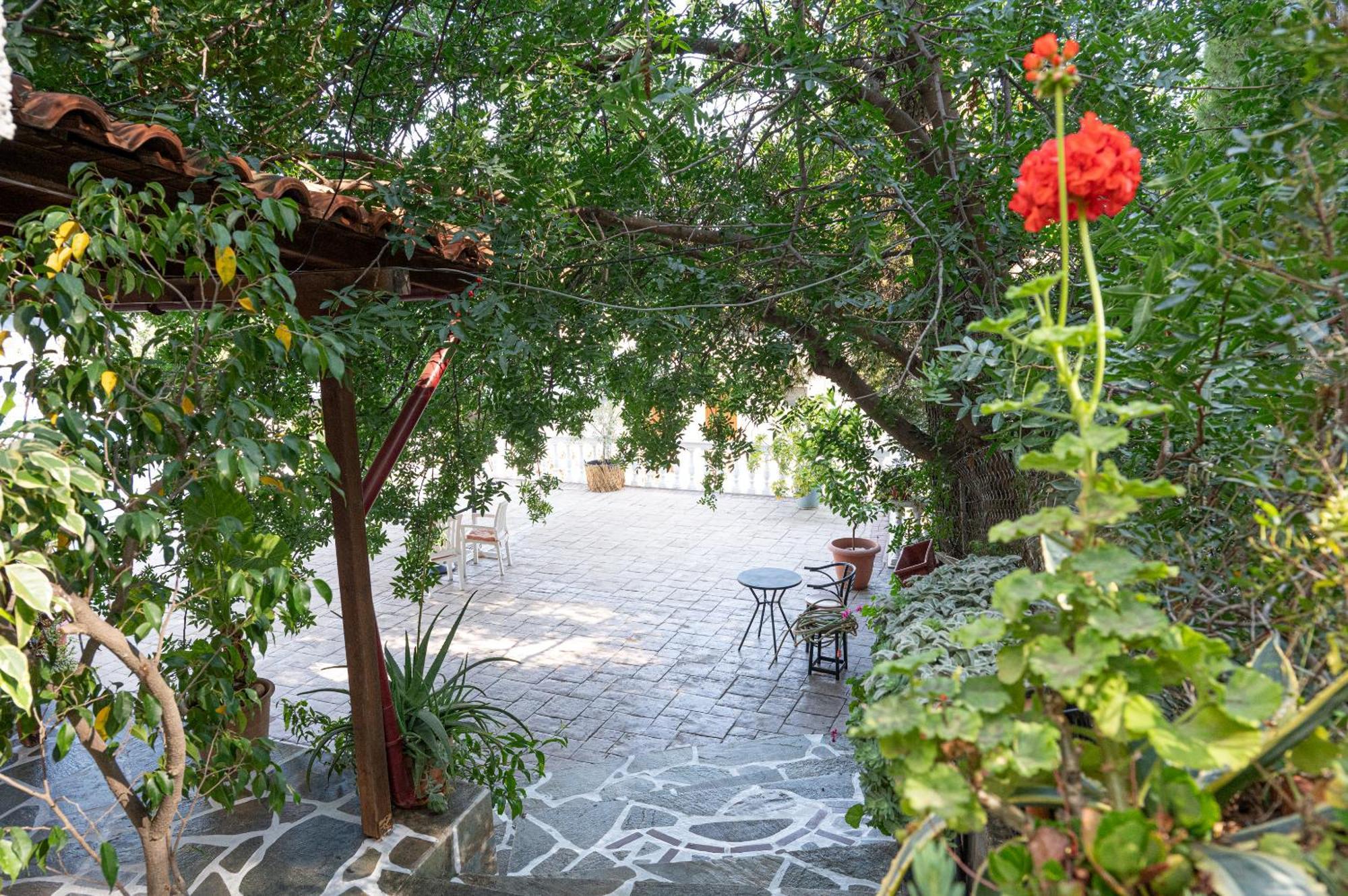 Lions 2 Studios & Apartments, Poros Island. 포로스타운 외부 사진