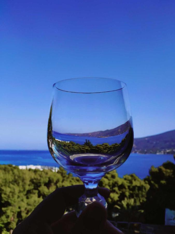 Lions 2 Studios & Apartments, Poros Island. 포로스타운 외부 사진